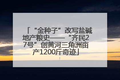 “金种子”改写盐碱地产粮史——“齐民27号”创黄河三角洲亩产1200斤奇迹