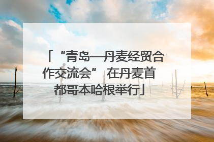 “青岛—丹麦经贸合作交流会” 在丹麦首都哥本哈根举行