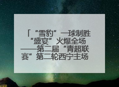 “雪豹”一球制胜 “盛宴”火爆全场——第二届“青超联赛”第二轮西宁主场比赛见闻