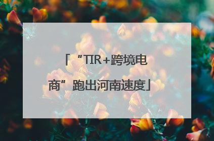 “TIR+跨境电商”跑出河南速度