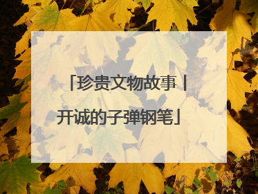 珍贵文物故事丨开诚的子弹钢笔