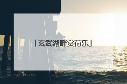 玄武湖畔赏荷乐