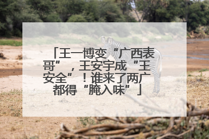王一博变“广西表哥”，王安宇成“王安全”！谁来了两广都得“腌入味”