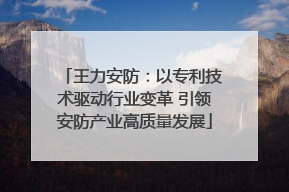 王力安防：以专利技术驱动行业变革 引领安防产业高质量发展