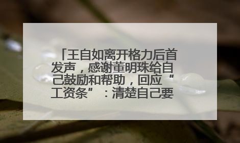 王自如离开格力后首发声，感谢董明珠给自己鼓励和帮助，回应“工资条”：清楚自己要什么，工资条不重要