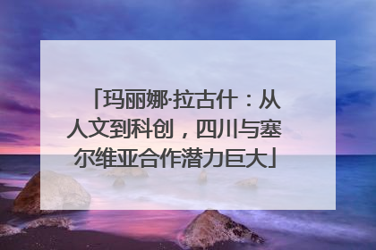 玛丽娜·拉古什：从人文到科创，四川与塞尔维亚合作潜力巨大