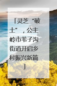 灵芝“破土”，公主岭市苇子沟街道开启乡村振兴新篇