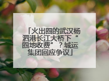 火出圈的武汉杨泗港长江大桥下“圈地收费”？城运集团回应争议