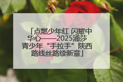 点燃少年红 闪耀中华心——2025浦莎青少年“手拉手”陕西路线丝路续新章
