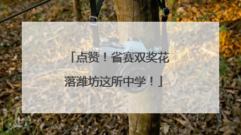 点赞！省赛双奖花落潍坊这所中学！