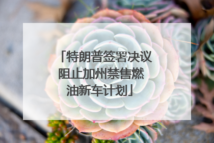 特朗普签署决议 阻止加州禁售燃油新车计划
