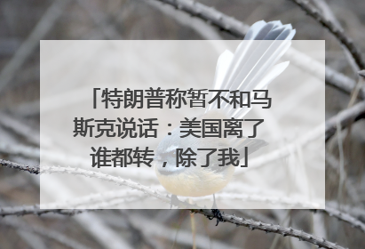 特朗普称暂不和马斯克说话：美国离了谁都转，除了我