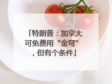 特朗普：加拿大可免费用“金穹”，但有个条件