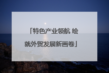 特色产业领航 绘就外贸发展新画卷