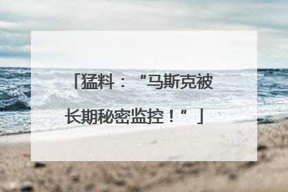 猛料：“马斯克被长期秘密监控！”
