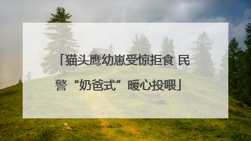 猫头鹰幼崽受惊拒食 民警“奶爸式”暖心投喂