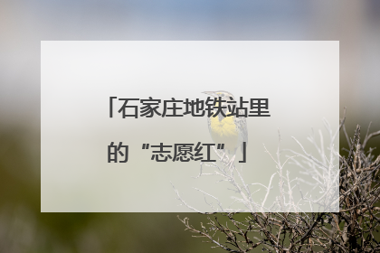 石家庄地铁站里的“志愿红”