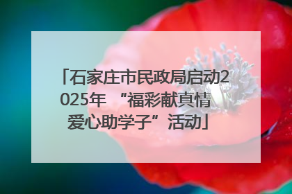 石家庄市民政局启动2025年 “福彩献真情 爱心助学子”活动