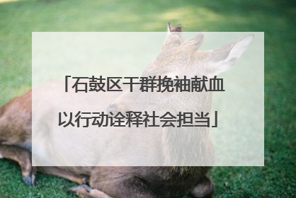石鼓区干群挽袖献血 以行动诠释社会担当