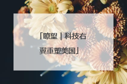瞭望｜科技右翼重塑美国