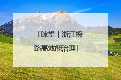 瞭望｜浙江探路高效能治理