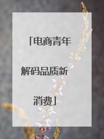 电商青年解码品质新消费