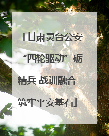 甘肃灵台公安“四轮驱动”砺精兵 战训融合筑牢平安基石