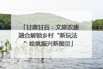 甘肃甘谷：文旅农康融合解锁乡村“新玩法”绘就振兴新图景