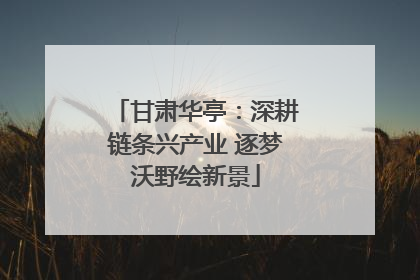 甘肃华亭：深耕链条兴产业 逐梦沃野绘新景