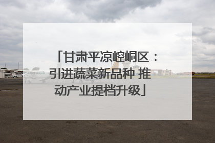 甘肃平凉崆峒区：引进蔬菜新品种 推动产业提档升级