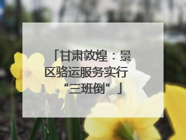 甘肃敦煌：景区骆运服务实行“三班倒”