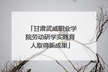 甘肃武威职业学院劳动研学实践育人取得新成果