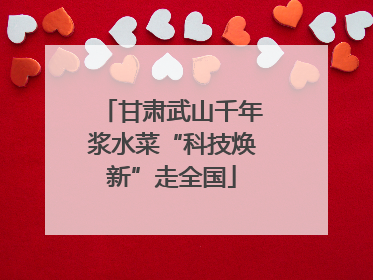 甘肃武山千年浆水菜“科技焕新”走全国