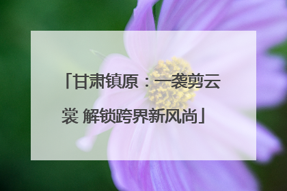 甘肃镇原：一袭剪云裳 解锁跨界新风尚