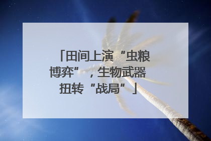 田间上演“虫粮博弈”，生物武器扭转“战局”