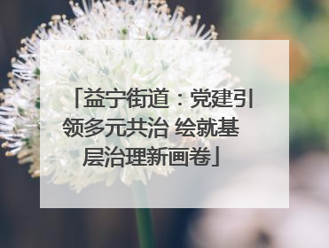 益宁街道：党建引领多元共治 绘就基层治理新画卷