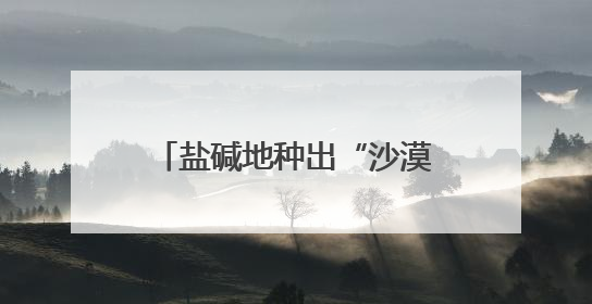 盐碱地种出“沙漠人参” 潍坊滨海解锁生态致富密码
