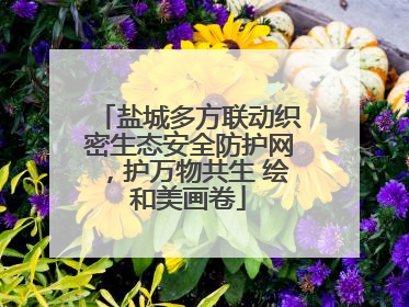 盐城多方联动织密生态安全防护网，护万物共生 绘和美画卷