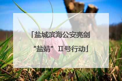 盐城滨海公安亮剑“盐靖”Ⅱ号行动