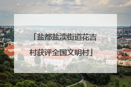 盐都盐渎街道花吉村获评全国文明村
