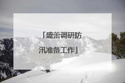 盛蕾调研防汛准备工作
