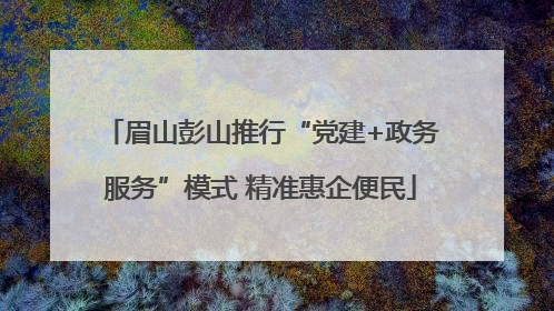 眉山彭山推行“党建+政务服务”模式 精准惠企便民