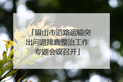眉山市道路运输突出问题排查整治工作专题会议召开