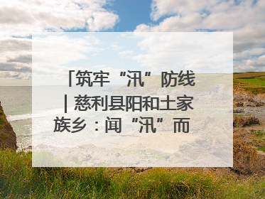 筑牢“汛”防线｜慈利县阳和土家族乡：闻“汛”而动 全员下沉筑牢防汛“安全堤”