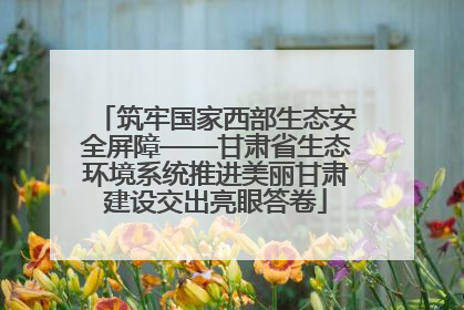筑牢国家西部生态安全屏障——甘肃省生态环境系统推进美丽甘肃建设交出亮眼答卷