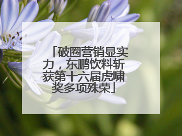 破圈营销显实力，东鹏饮料斩获第十六届虎啸奖多项殊荣