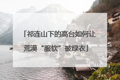 祁连山下的高台如何让荒漠“服软”披绿衣