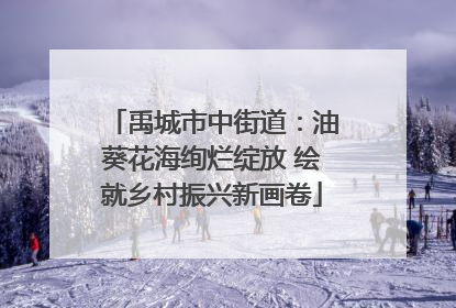 禹城市中街道：油葵花海绚烂绽放 绘就乡村振兴新画卷