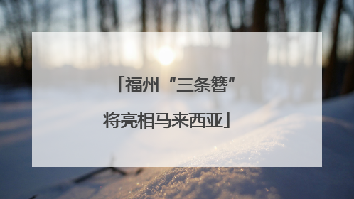 福州“三条簪”将亮相马来西亚