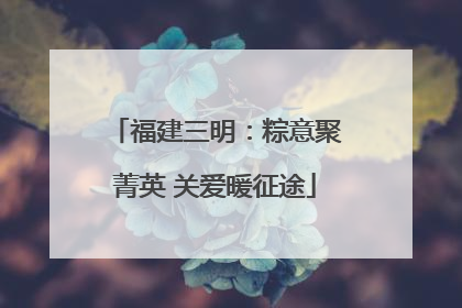福建三明：粽意聚菁英 关爱暖征途